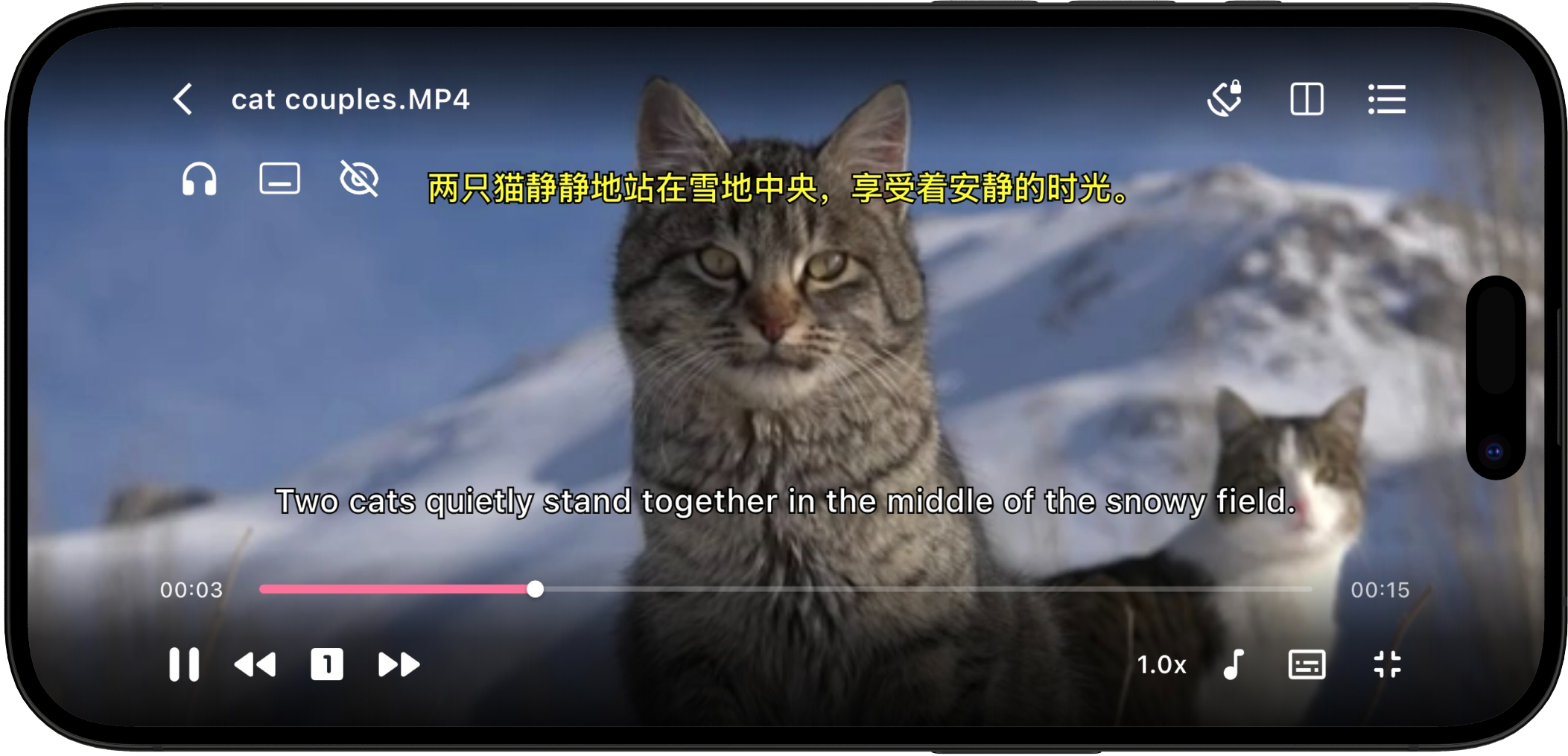 Dual Subtitles